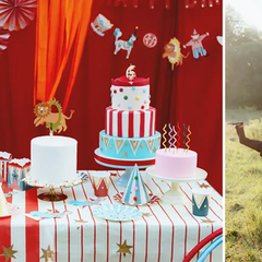 Collection image for: Impreza cyrk