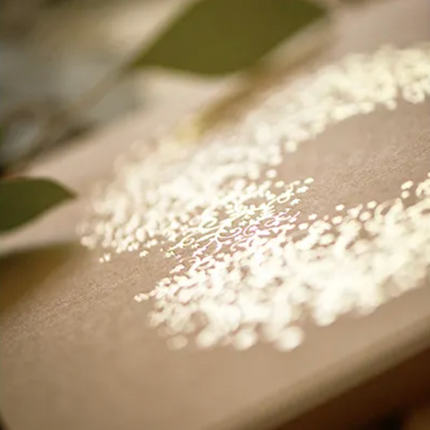 Album/Księga Gości kraft serce