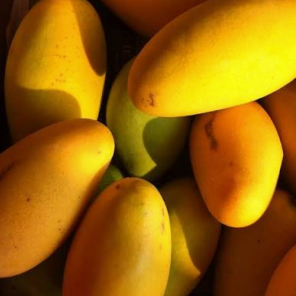 Body Mango olejek do ciała